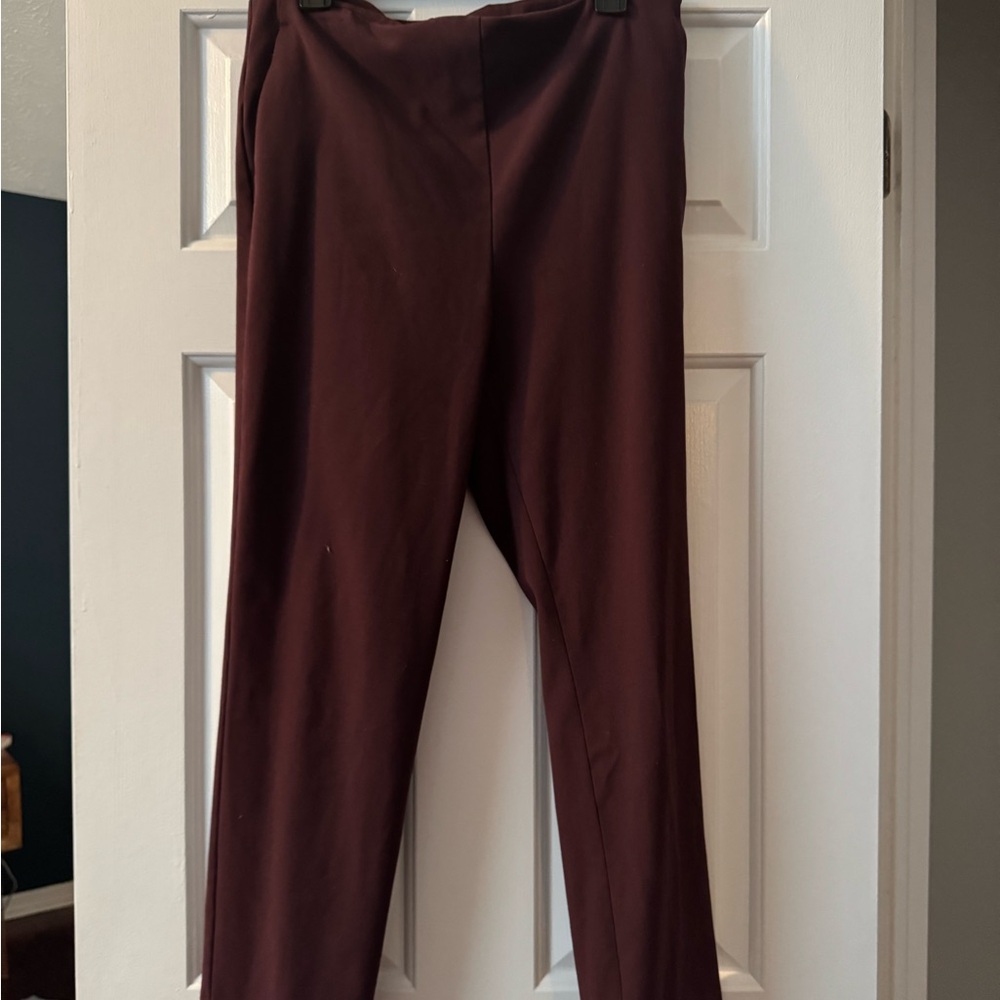 Ann Taylor Maroon Pants